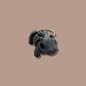 Flexi Hippo