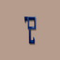 Pickleball - Paddle and Bag Hooks (Large)